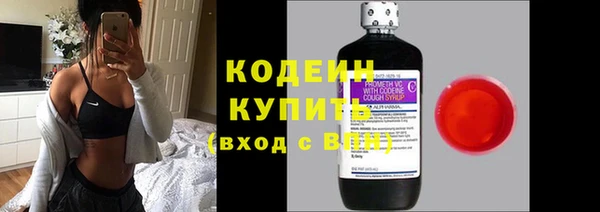 амф Елабуга