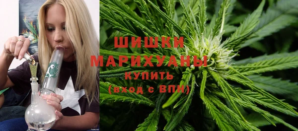 амф Елабуга