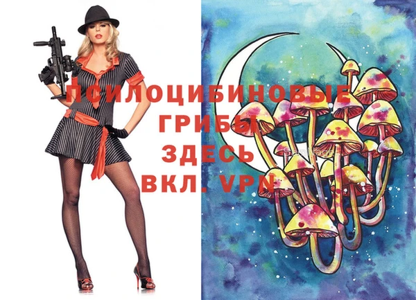 амф Елабуга