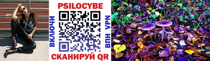 магазин    Игарка  Галлюциногенные грибы Psilocybine cubensis 